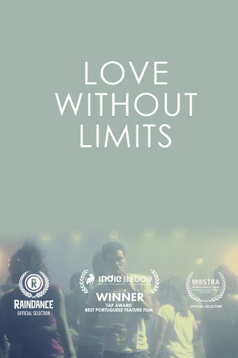 Movie poster for Love Without Limits (2015)