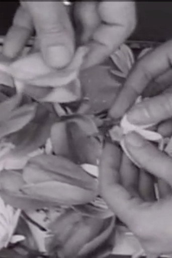 The Clouds That Touch Us Out of Clear Skies poster