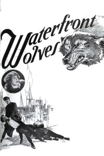 Movie poster for Waterfront Wolves (1924)