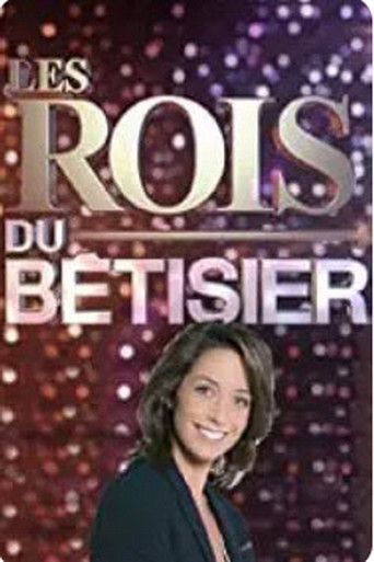Movie poster for Les Rois du Bêtisier (2011)