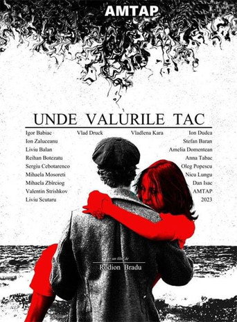 Movie poster for Unde Valurile Tac (2024)
