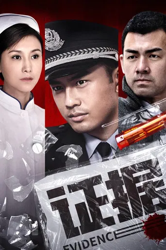 证据 poster
