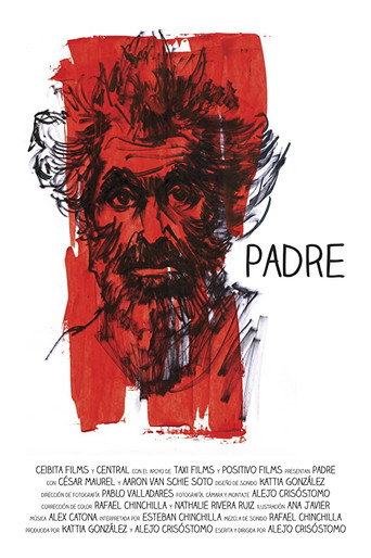 Movie poster for Padre (2013)