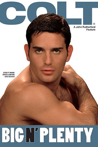 Movie poster for Big N' Plenty (2004)
