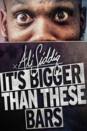 Movie poster for Ali Siddiq: It's Bigger Than These Bars (2018)