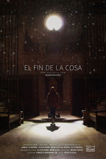 El fin de la cosa poster