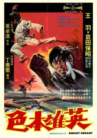 Movie poster for Knight Errant (1973)