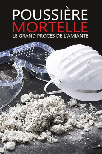 Movie poster for Polvere - Il grande processo dell'amianto (2011)