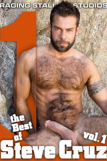 Movie poster for The Best of Steve Cruz (2009)