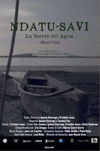 Movie poster for Water's Fate (2024)