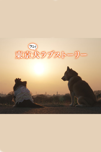Tokyo Dog Love Story poster