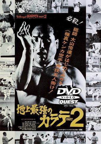 Movie poster for The Strongest Karate Part 2 (1976)