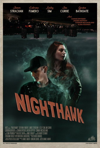Movie poster for Nighthawk (2020)