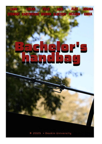 Movie poster for Bachelors Handbag (2025)