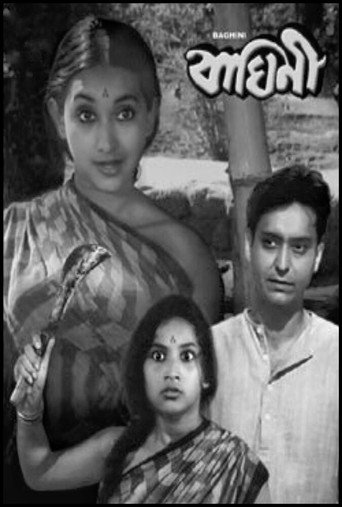 Movie poster for Baghini (1968)