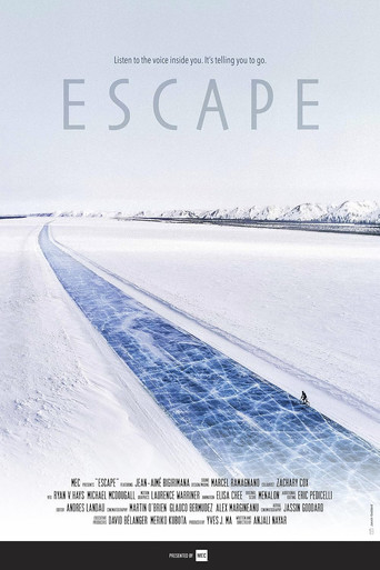 Movie poster for Escape (2018)