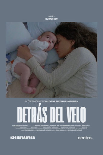 Movie poster for Detrás del Velo (2025)