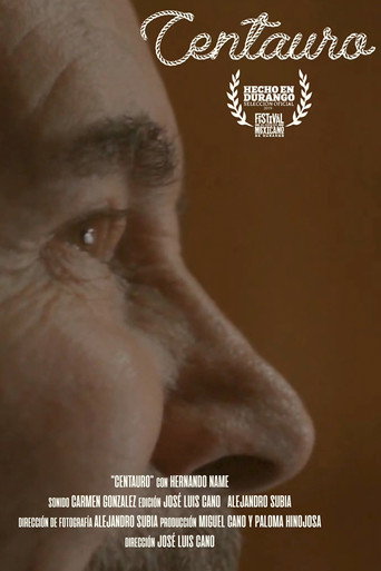 Movie poster for Centauro (2019)