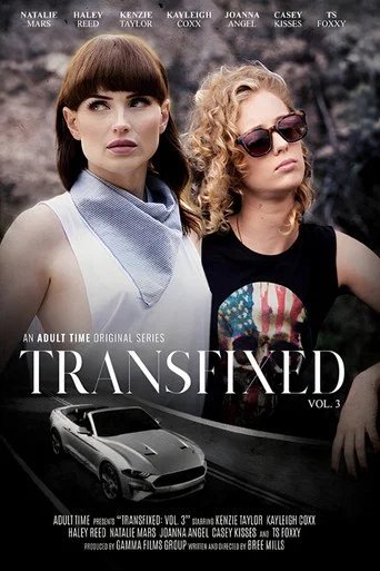 Movie poster for Transfixed 3 (2019)