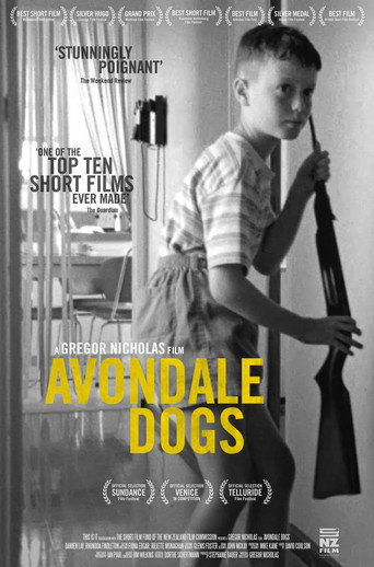 Avondale Dogs poster