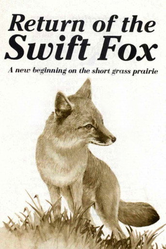 Movie poster for Return of the Swift Fox (1988)