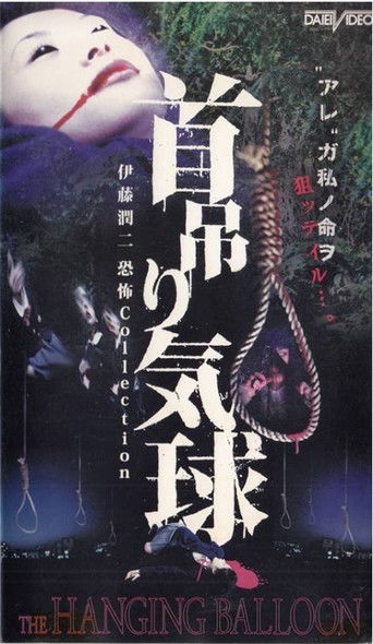 The Hanging Balloons poster