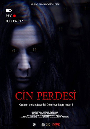 Movie poster for Cin Perdesi (2022)