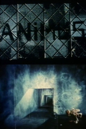 Movie poster for Animus