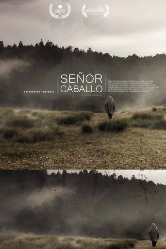 Movie poster for Señor Caballo (2020)