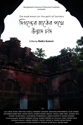 Movie poster for The mad moon on the path of horizon (2019)