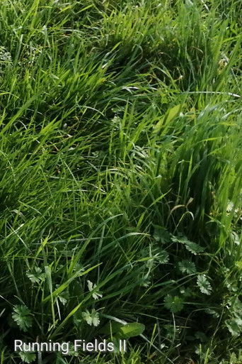 Running Fields II poster