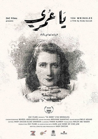 Movie poster for 104 Wrinkles (2017)