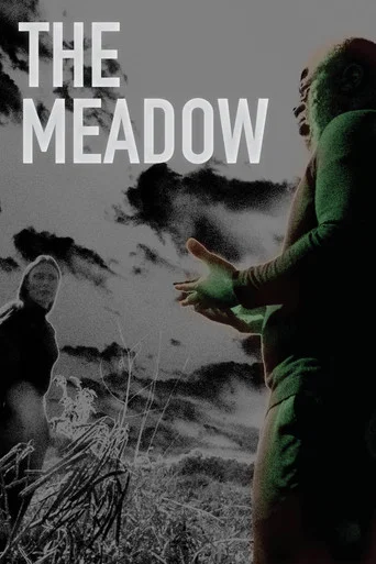 Movie poster for The Meadow (2022)