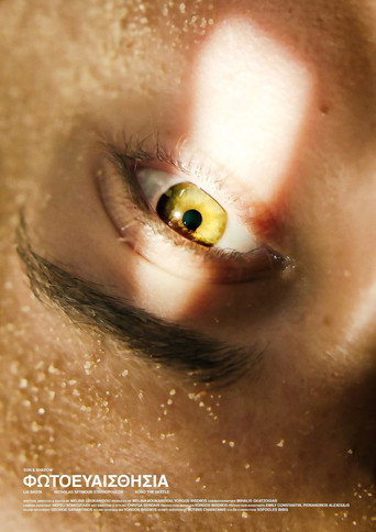 Sun And Shadow poster