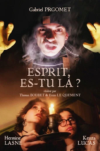 Movie poster for Spirit, are you there ?