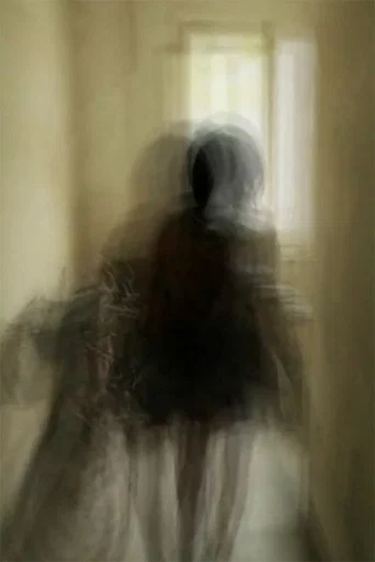Movie poster for Descending a Staircase (2013)