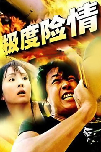 极度险情 poster