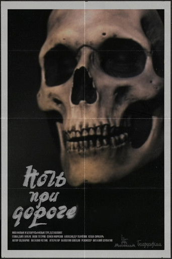 Night on the Road poster