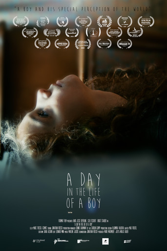Movie poster for A Day in the Life of a Boy (2020)