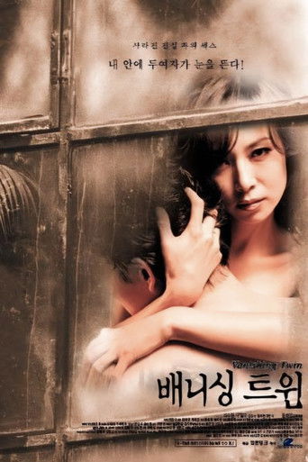 Vanishing Twin poster