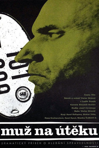 Movie poster for A Man on the Run (1969)