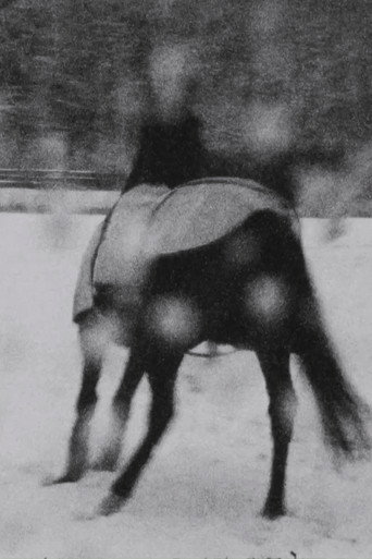 Movie poster for Im Schnee (2001)