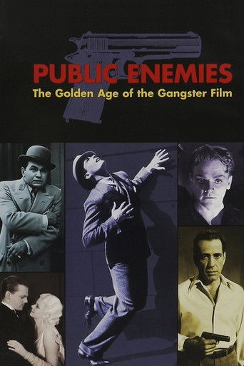 Public Enemies: The Golden Age of the Gangster Film poster
