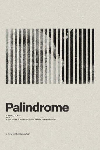 Palindrome poster