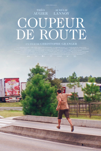 Roadtripper poster