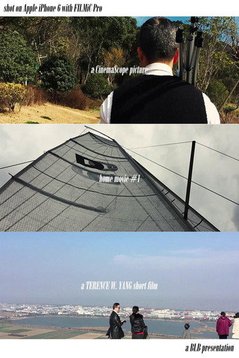Movie poster for Home Movie #1 (2017)