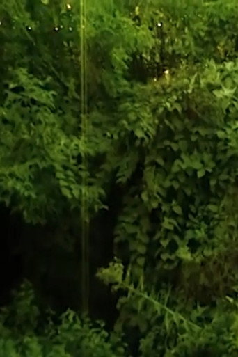 Movie poster for I love the sound cicadas make. (2023)
