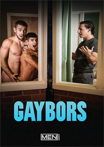 Movie poster for Gaybors (2020)