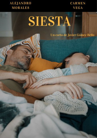 Movie poster for Siesta (2024)