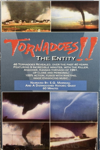 Movie poster for Tornadoes!! The Entity (1993)